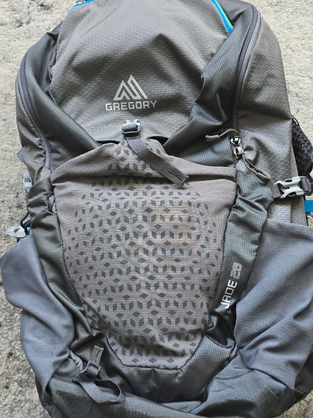 Gregory Gray Backpack with Teal Trim